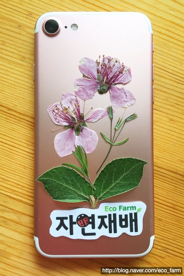 꽃을담다 이미지