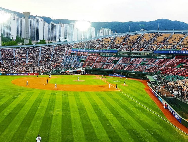 하카전자담배사직 이미지