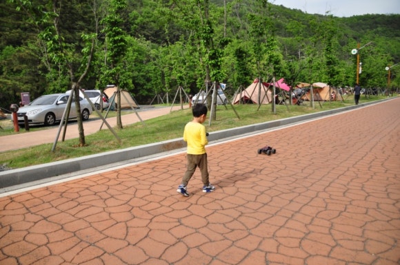 지베어 이미지