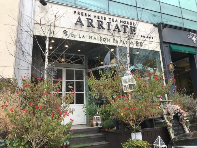 플라워차한잔 이미지
