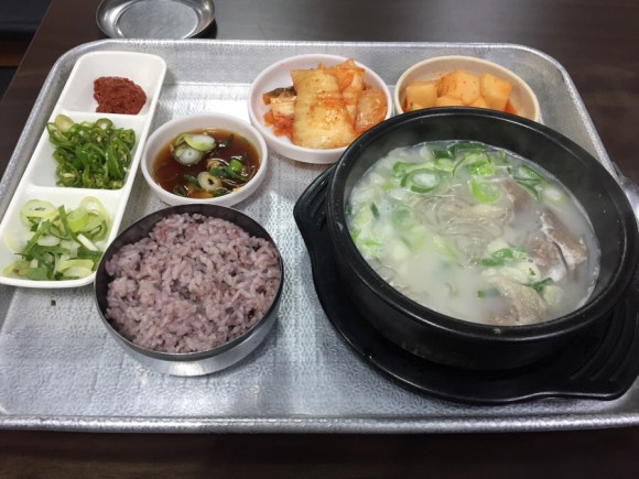 본토박이한우 이미지