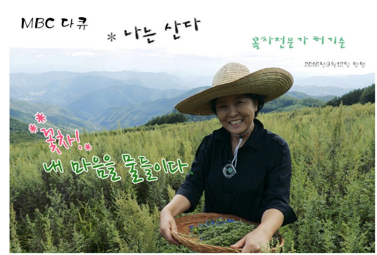 한국창업능력개발원 이미지