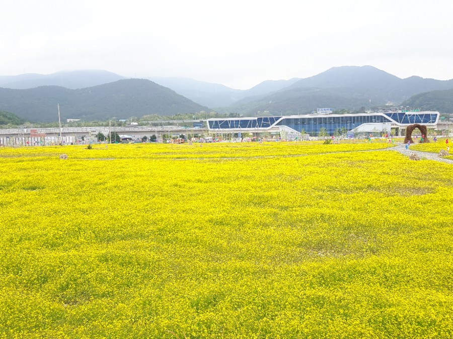 유채공방 이미지