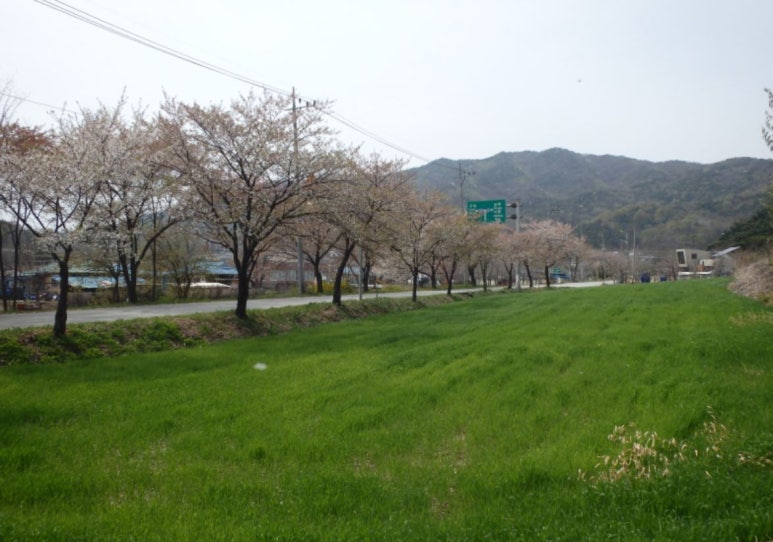 구미곤충산업연구농장 이미지