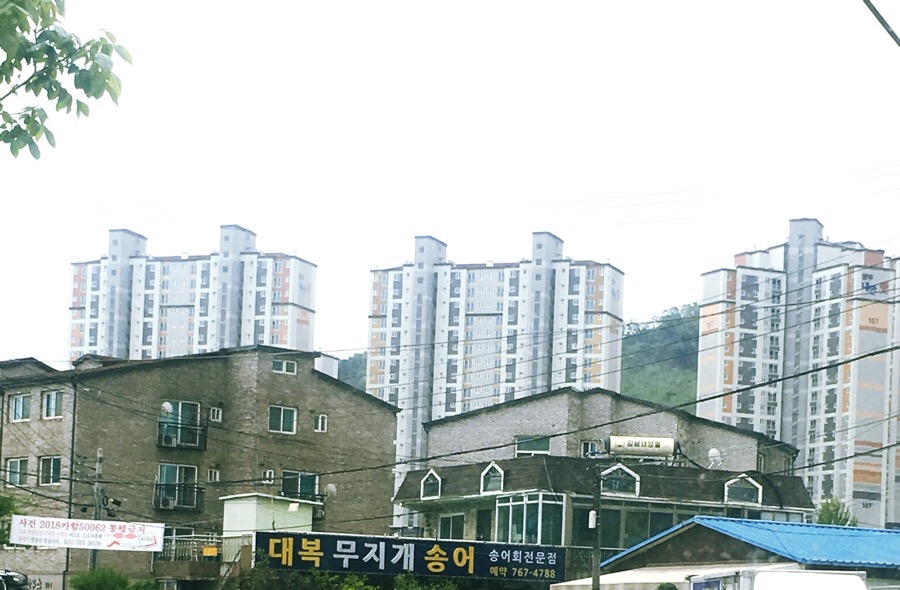 대복무지개송어회 이미지