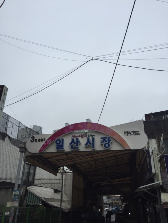 본토박이한우 이미지