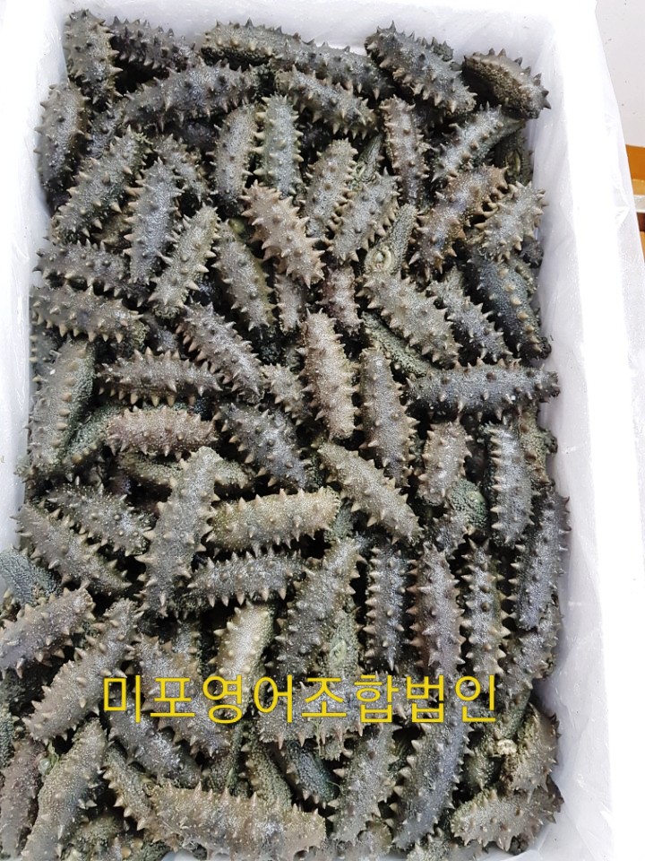 미포영어조합법인 이미지