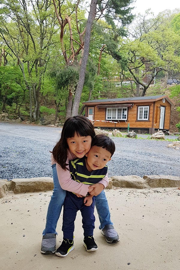 코끼리 관광농원 이미지