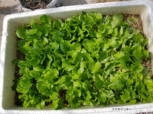 산들내캠핑장 이미지