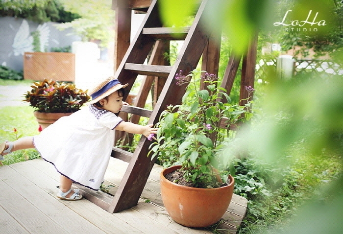 스튜디오배 이미지