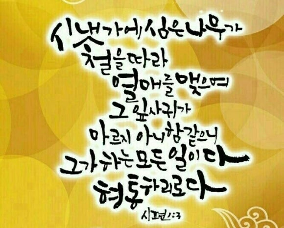 (주)시온 이미지