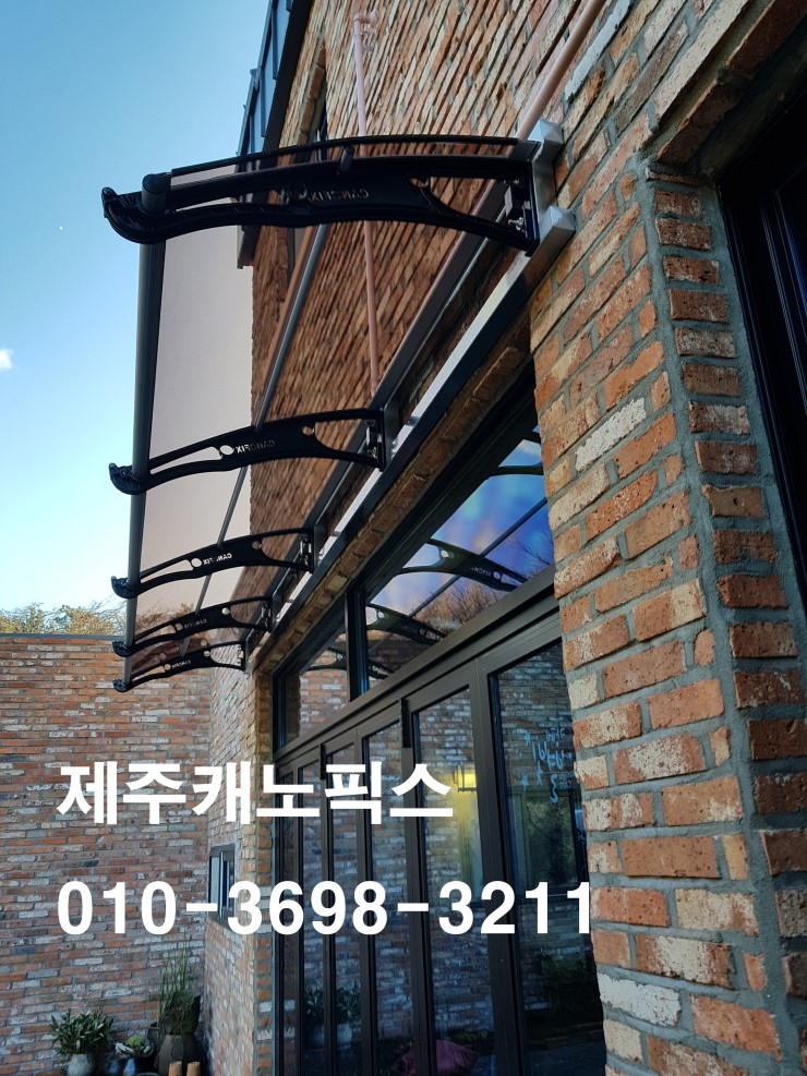 제주캐노픽스 이미지
