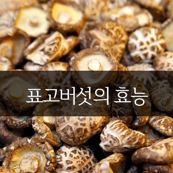 숲사랑농원 이미지
