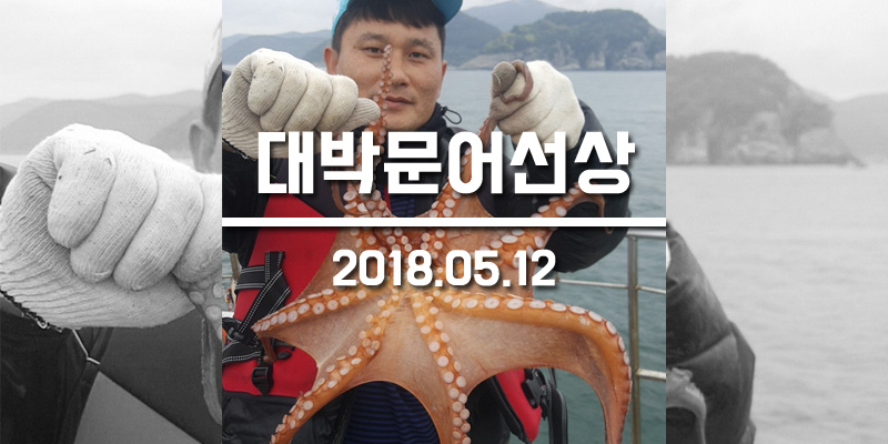 거제진선장 이미지