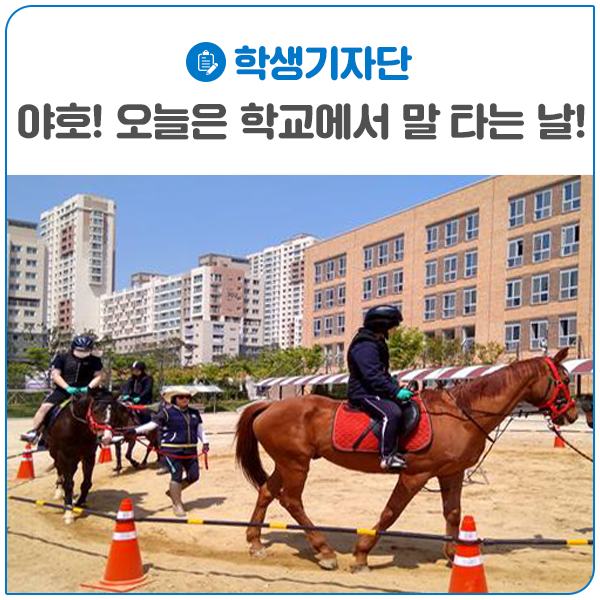 세종시장군승마장 이미지