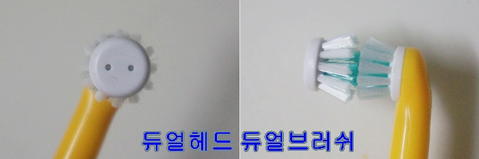 NY단치과 이미지