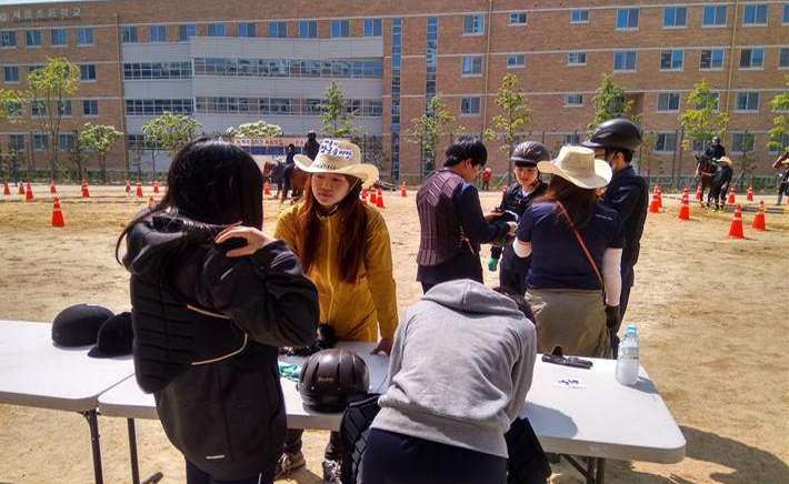 세종시장군승마장 이미지