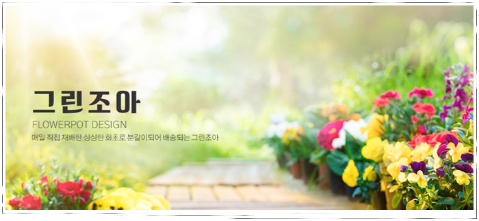 조아그린 이미지
