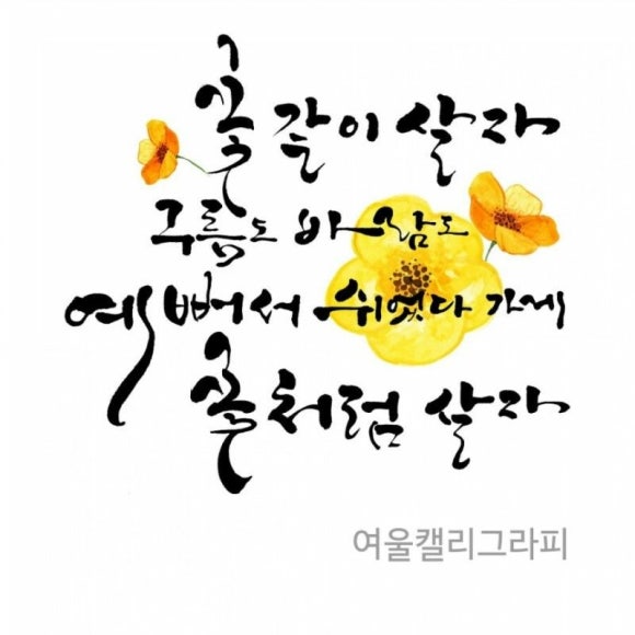 수지뷰티 이미지