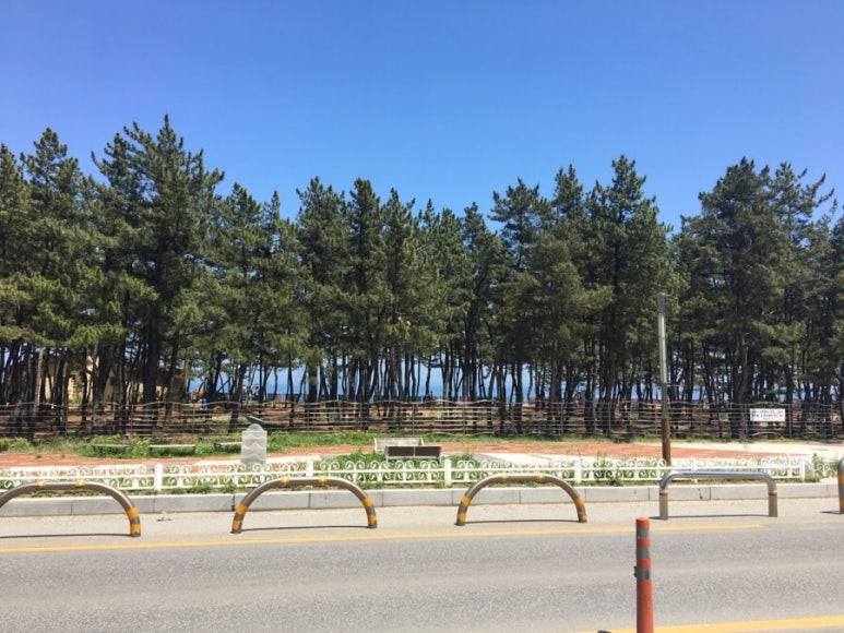 이조상회 이미지