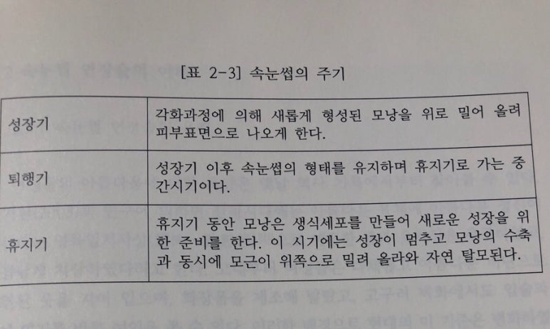 유니네일샵 이미지