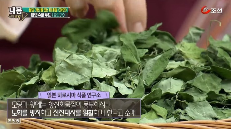 푸드그레이스 이미지
