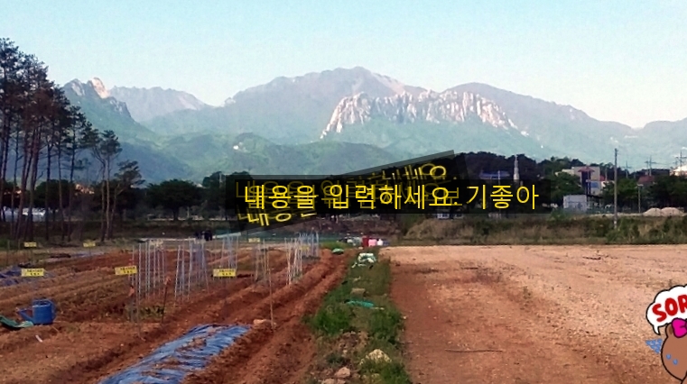 속초시노인복지관 이미지