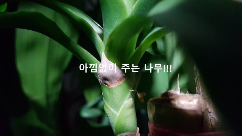 최유미아카데미 이미지