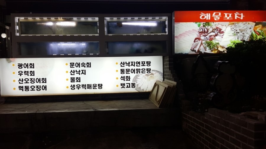 문어와산오징어 이미지
