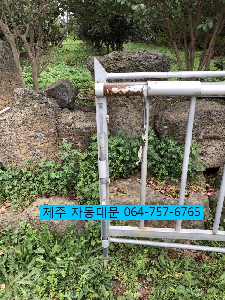 명월팜 이미지