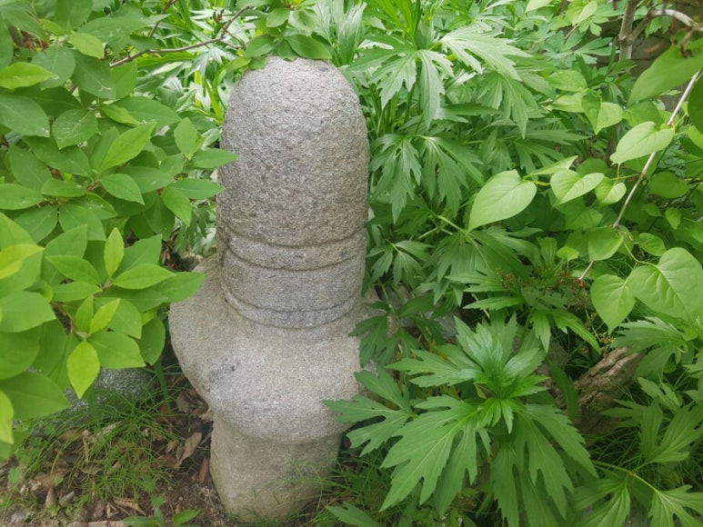 CLEAN청송사과즙 이미지