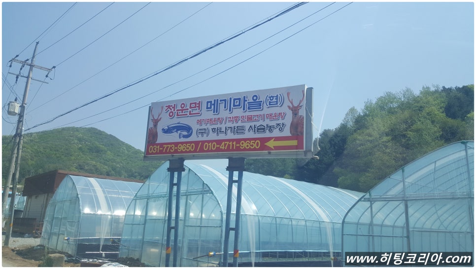 청운면메기마을 이미지