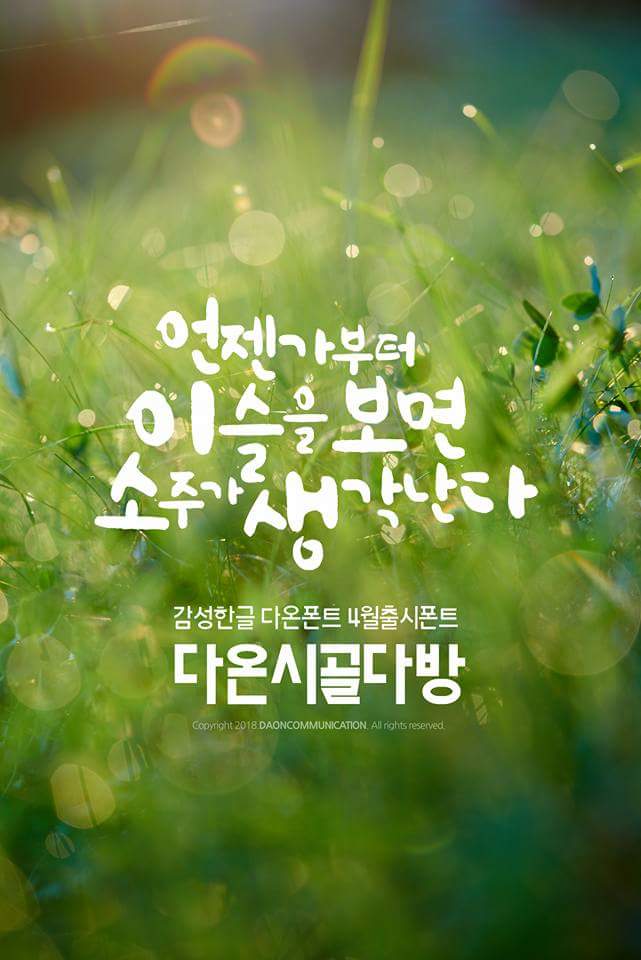 다온패키지 이미지