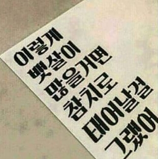 해적호핑 이미지