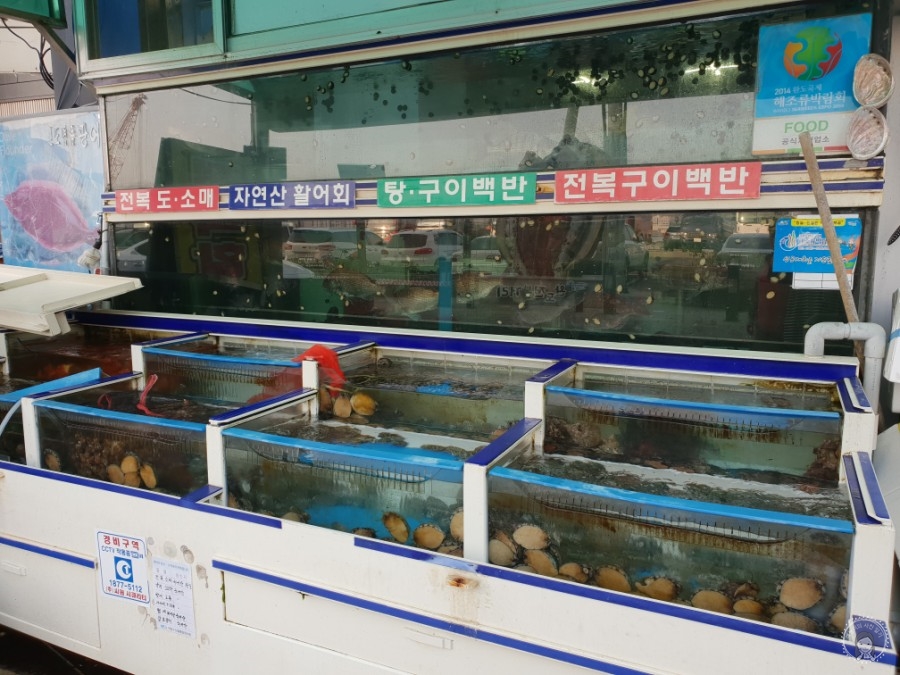 남강전복 이미지