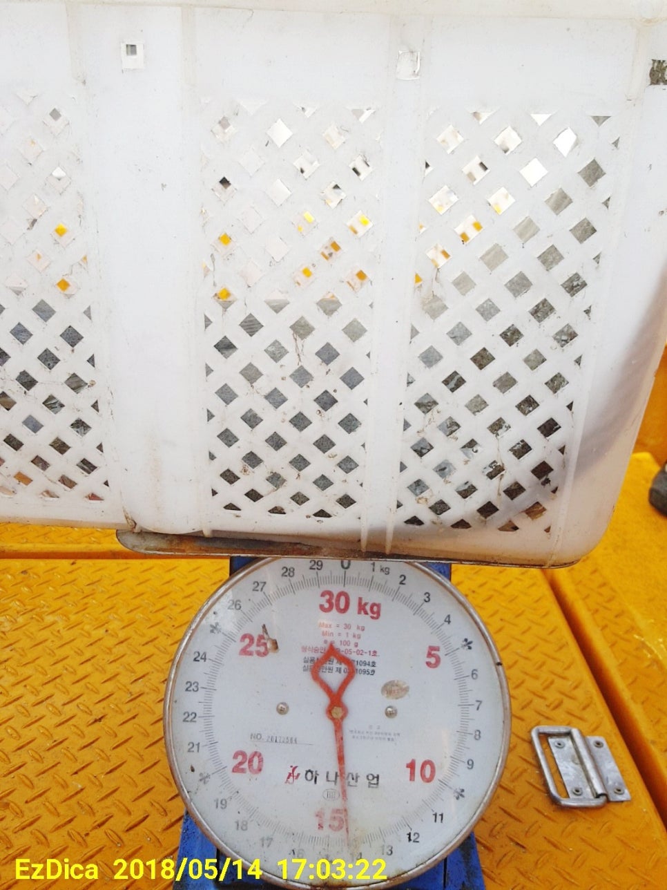 거제진선장 이미지