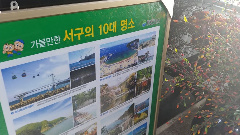 아비숑모텔 이미지