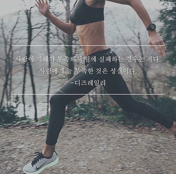 맥스핏 이미지