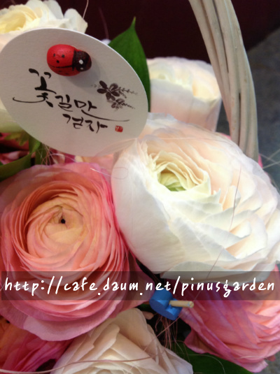 꽃길만걷자플라워 이미지