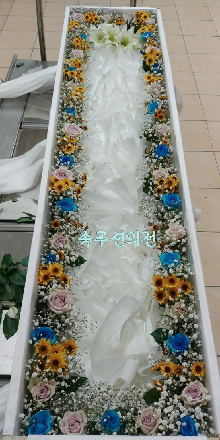 솔루션의전 이미지