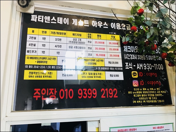 파티앤 이미지