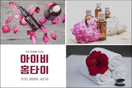 아이비타이 이미지