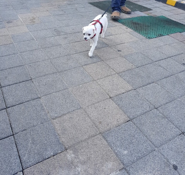 광주닭집 이미지
