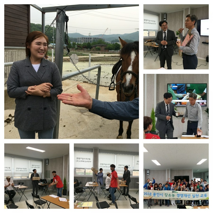 용인포니클럽 이미지