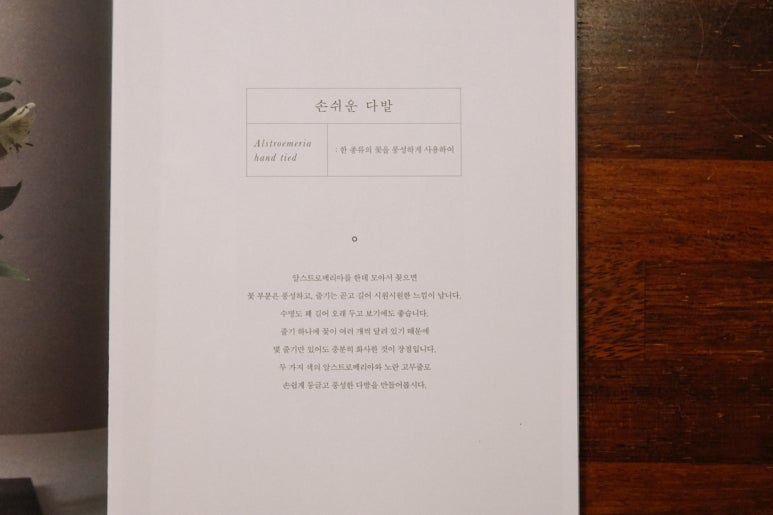 오차원 이미지