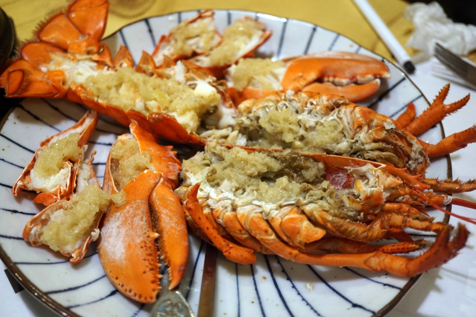 참치만세 이미지