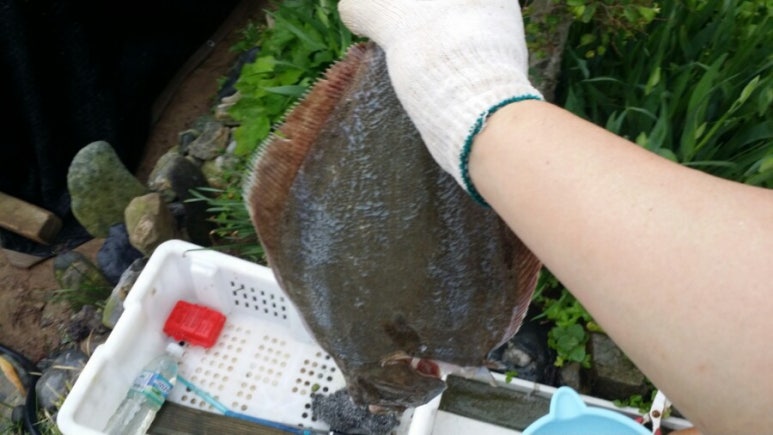 오떡케 이미지