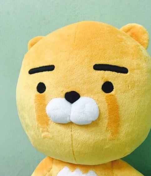 카드조회기 이미지