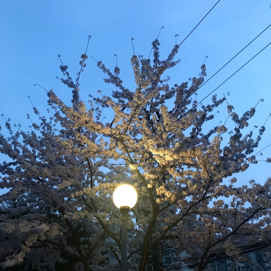 보라공방 이미지