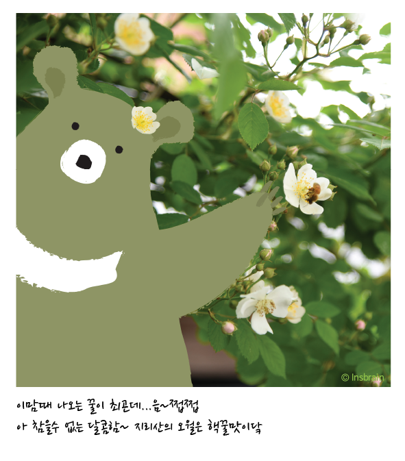 인스브레인 이미지